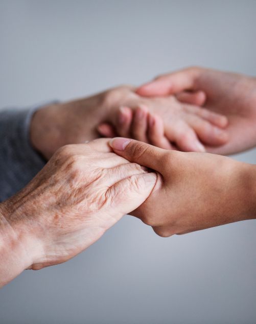 CFE - Caring Hands 501x634